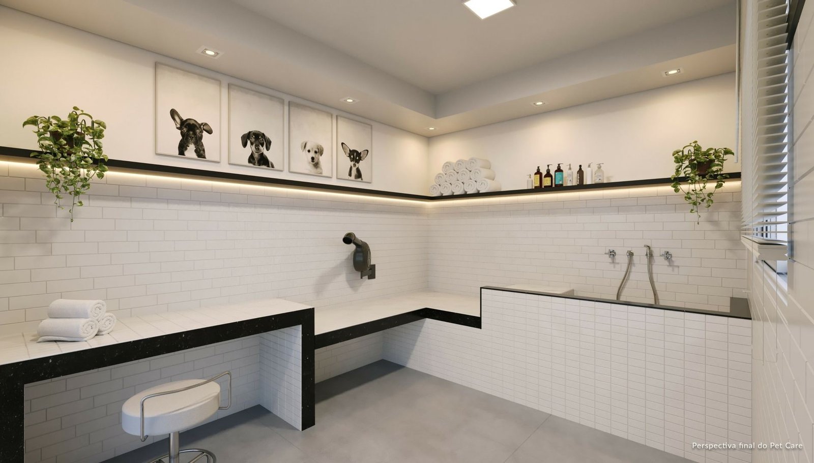 Pet Care